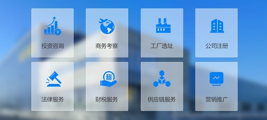多元化產(chǎn)品服務(wù)與投資咨詢 打造穩(wěn)健財(cái)富增長的雙引擎