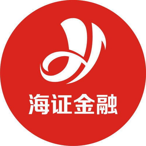 湖南海證投資咨詢 專業護航，助力財富增值
