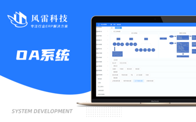 企業管理軟件開發