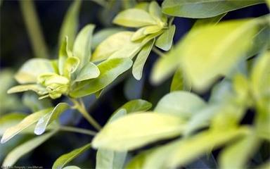 科教實(shí)業(yè)公司經(jīng)營范圍怎么寫